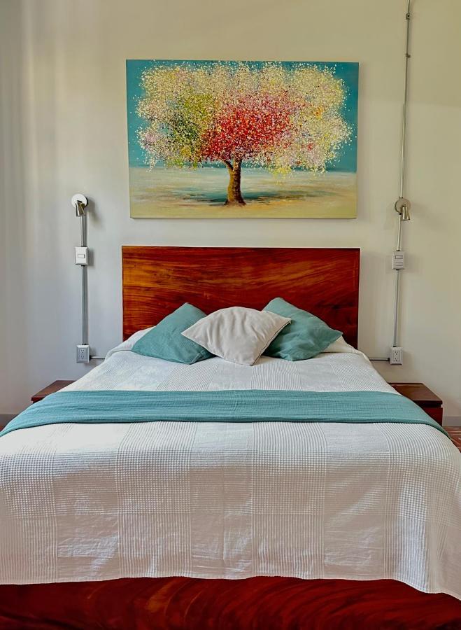 Hotel Boutique Casa Degollado Κολίμα Εξωτερικό φωτογραφία