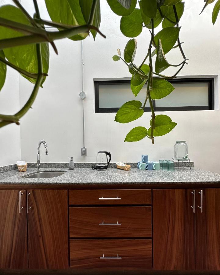 Hotel Boutique Casa Degollado Κολίμα Εξωτερικό φωτογραφία